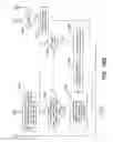 Fig. 22 - PORTABLE ELECTRONIC AUTHORIZATION SYSTEM AND METHOD