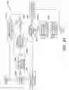 Fig. 43 - PORTABLE ELECTRONIC AUTHORIZATION SYSTEM AND METHOD
