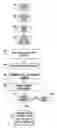 Fig. 01 - Verifying Vehicle Authenticity