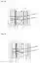 Fig. 08 - Single view display