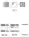Fig. 08 - Printing Control System, Printing Request Terminal, Printer, Printing Control Program, and Printing Control Method