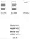 Fig. 11 - Printing Control System, Printing Request Terminal, Printer, Printing Control Program, and Printing Control Method