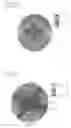 Fig. 22 - Single-polarizer reflective bistable twisted nematic (BTN) liquid crystal display device