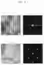 Fig. 09 - Layered Bi compound nanoplate array of such nanoplates, their making methods and devices using them