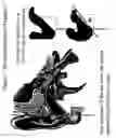 Fig. 06 - Earpiece sealing system