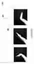 Fig. 12 - Method of assessing a body part