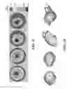 Fig. 07 - Method for generating analytical tool for analyzing abnormalities in human organs