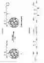 Fig. 10 - Targeted Nanostructures for Cellular Imaging