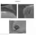 Fig. 34 - Targeted Nanostructures for Cellular Imaging