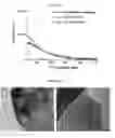 Fig. 36 - Targeted Nanostructures for Cellular Imaging