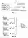 Fig. 02 - Optical device and a method for converting WDM signals into an OTDM signal and vice versa