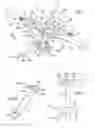 Fig. 02 - Helicopter provided with a plurality of lift elements each provided with a respective tab for controlling the angles of incidence of its blades