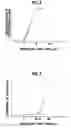 Fig. 04 - Surface treatment method and repair method