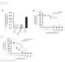 Fig. 05 - Recombinant vector expressing MDR1 shRNA and thymidine kinase and use thereof