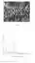 Fig. 06 - Oral hygiene compositions