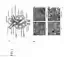 Fig. 02 - METHODS AND COMPOSITIONS FOR TREATING BASEMENT MEMBRANE DISORDERS