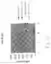 Fig. 07 - Broad Spectrum Antiviral Compositions