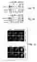 Fig. 02 - Methods and compositions for regulating cell cycle checkpoints