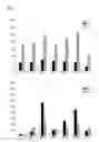Fig. 02 - MODIFIED CpG OLIGODEOXYNUCLEOTIDE WITH IMPROVED IMMUNOREGULATORY FUNCTION