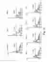 Fig. 08 - MODIFIED CpG OLIGODEOXYNUCLEOTIDE WITH IMPROVED IMMUNOREGULATORY FUNCTION