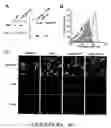 Fig. 09 - Methods and Compositions for Treating and Preventing Bacterial Infections