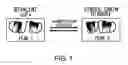 Fig. 02 - Pharmaceutical compositions containing sc(Fv)2