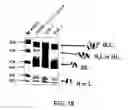 Fig. 20 - Pharmaceutical compositions containing sc(Fv)2