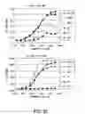 Fig. 34 - Pharmaceutical compositions containing sc(Fv)2