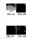 Fig. 07 - Novel Egg Receptors for Sperm Proteins