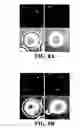 Fig. 09 - Novel Egg Receptors for Sperm Proteins