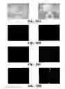 Fig. 22 - Novel Egg Receptors for Sperm Proteins