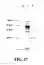 Fig. 35 - Novel Egg Receptors for Sperm Proteins