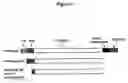 Fig. 02 - TRUNCATED MEMAPSIN 2 COMPOSITIONS AND TREATMENTS