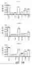 Fig. 09 - Anti-interferon alpha monoclonal antibodies and methods for use
