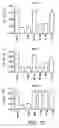 Fig. 10 - Anti-interferon alpha monoclonal antibodies and methods for use