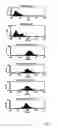 Fig. 02 - Use of HIV envelope/CD4 complexes for the generation antibodies