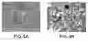 Fig. 09 - Methods and compositions for immunizing against infection