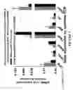 Fig. 04 - MODULATION OF BNE DEVELOPMENT