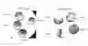 Fig. 01 - Recombinant virus and use thereof