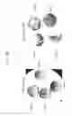 Fig. 05 - Recombinant virus and use thereof