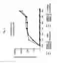 Fig. 07 - Recombinant virus and use thereof