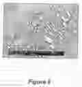 Fig. 09 - Nanoporous Membrane and Method of Preparation Thereof