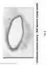 Fig. 09 - SOFT TISSUE IMPLANTS AND ANTI-SCARRING AGENTS