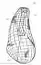 Fig. 01 - Manufactured meat and method of production thereof