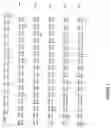 Fig. 02 - Methods for increasing stearate content in soybean oil
