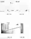 Fig. 02 - Method of forming aqueous-based dispersions of metal nanoparticles