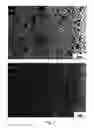 Fig. 07 - FABRICATION OF NANOWIRE ARRAY COMPOSITES FOR THERMOELECTRIC POWER GENERATORS AND MICROCOOLERS
