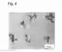 Fig. 05 - CARBON BLACK