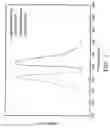 Fig. 02 - Borate phosphor and white light illumination device utilizing the same