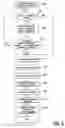 Fig. 05 - Fuel cell with anode exhaust recirculation means